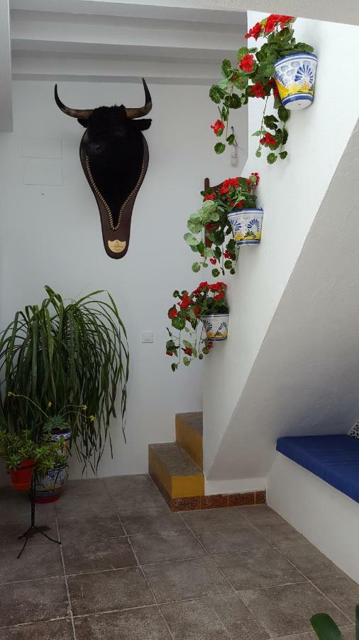 Casa Ricardo " Le Gite " Arcos de la Frontera Bagian luar foto